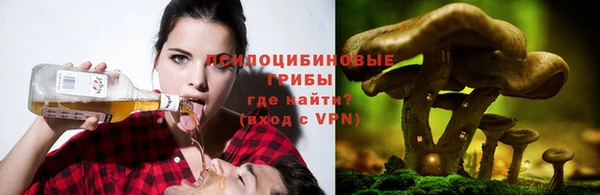прущие крисы Медвежьегорск