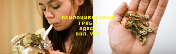 PSILOCYBIN Нея