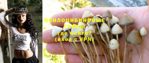 прущие крисы Нягань