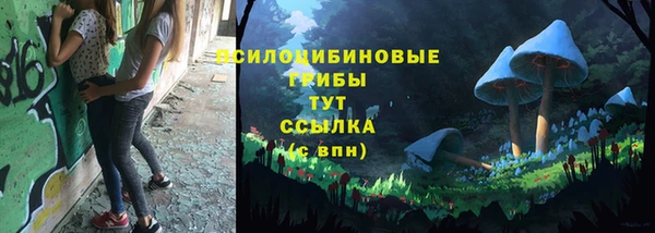 гидропоника Медногорск