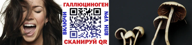 Псилоцибиновые грибы GOLDEN TEACHER  Саратов 