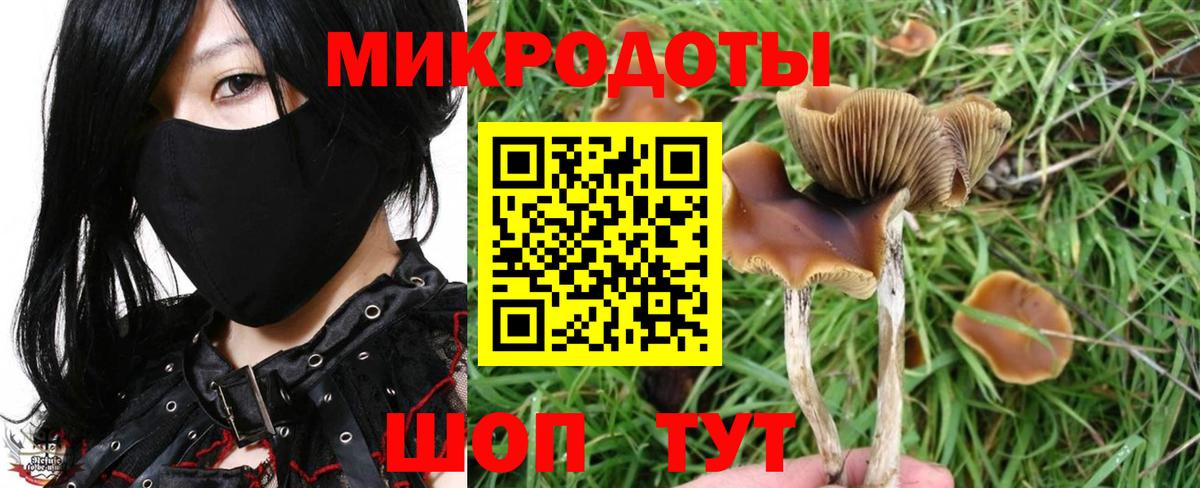 Псилоцибиновые грибы GOLDEN TEACHER  Саратов 