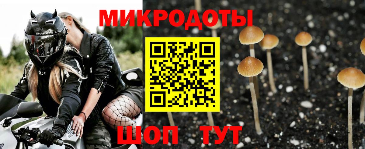 закладка  Вход с VPN  Саратов  Псилоцибиновые грибы мухоморы 